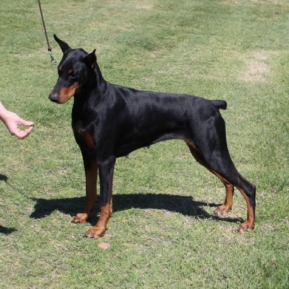 ❤️Nova❤️My Heart❤️ - Picture 4 of 16